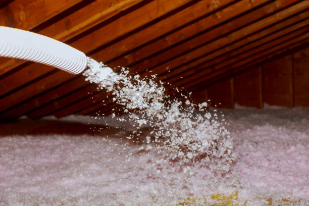 Best Geographic-Specific Insulation Services in Carrollton, IL