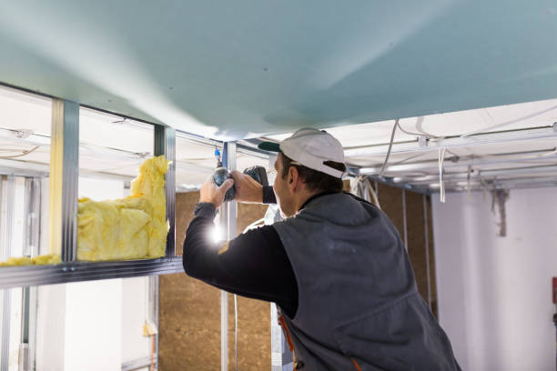 Types of Insulation We Offer in Carrollton, IL