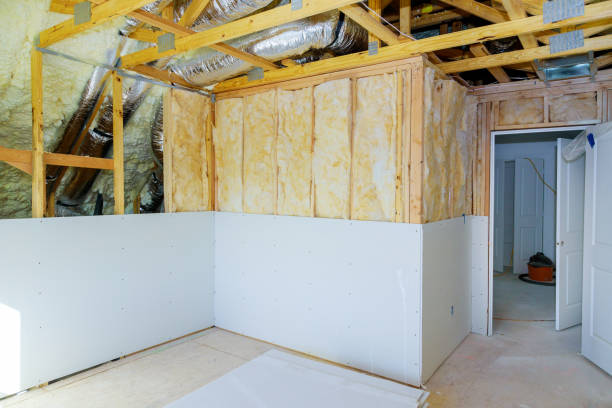 Best Eco-Friendly Insulation in Carrollton, IL